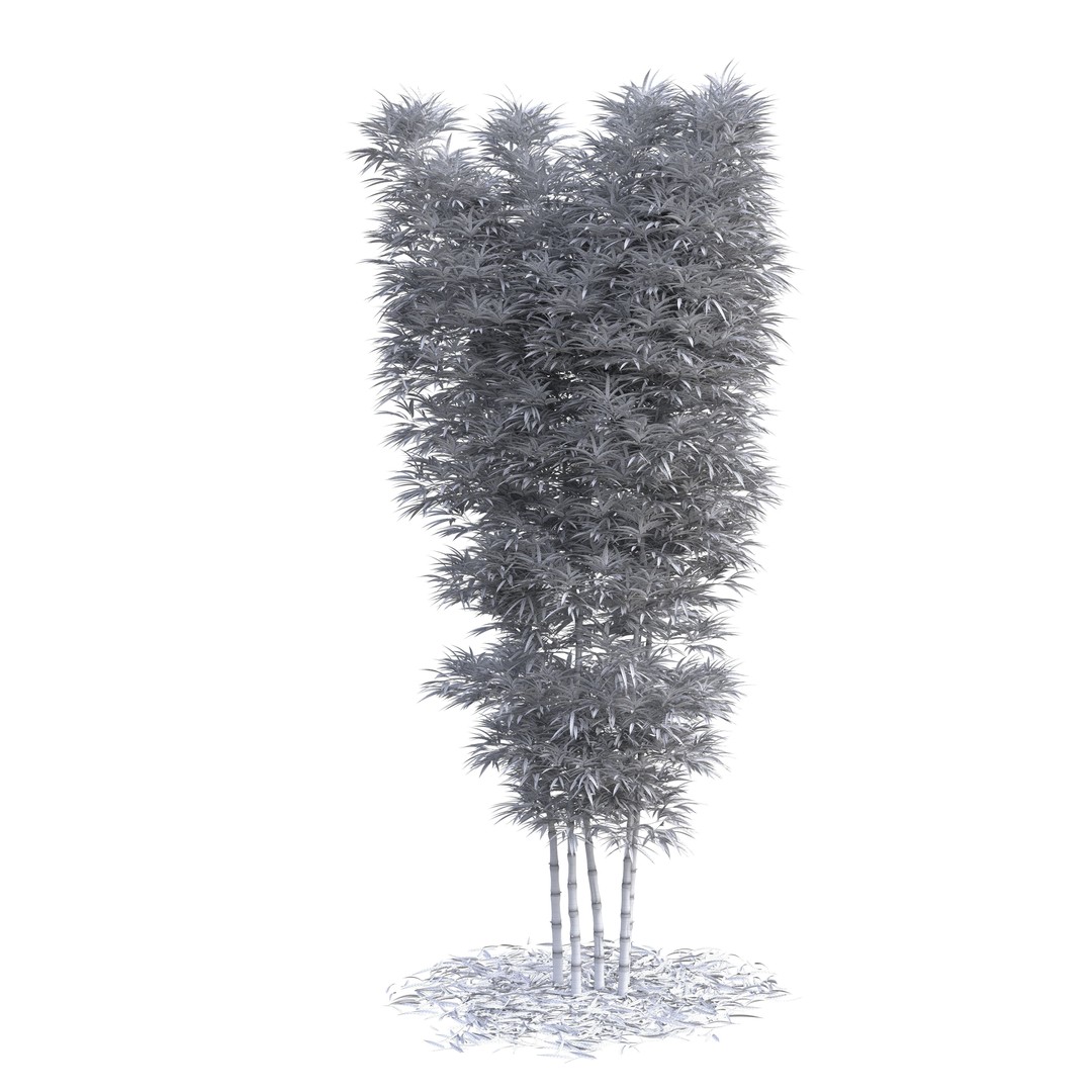 Bamboo Phyllostachys Aurea 3D Model – High Poly Plant Asset, FBX, OBJ - View 34