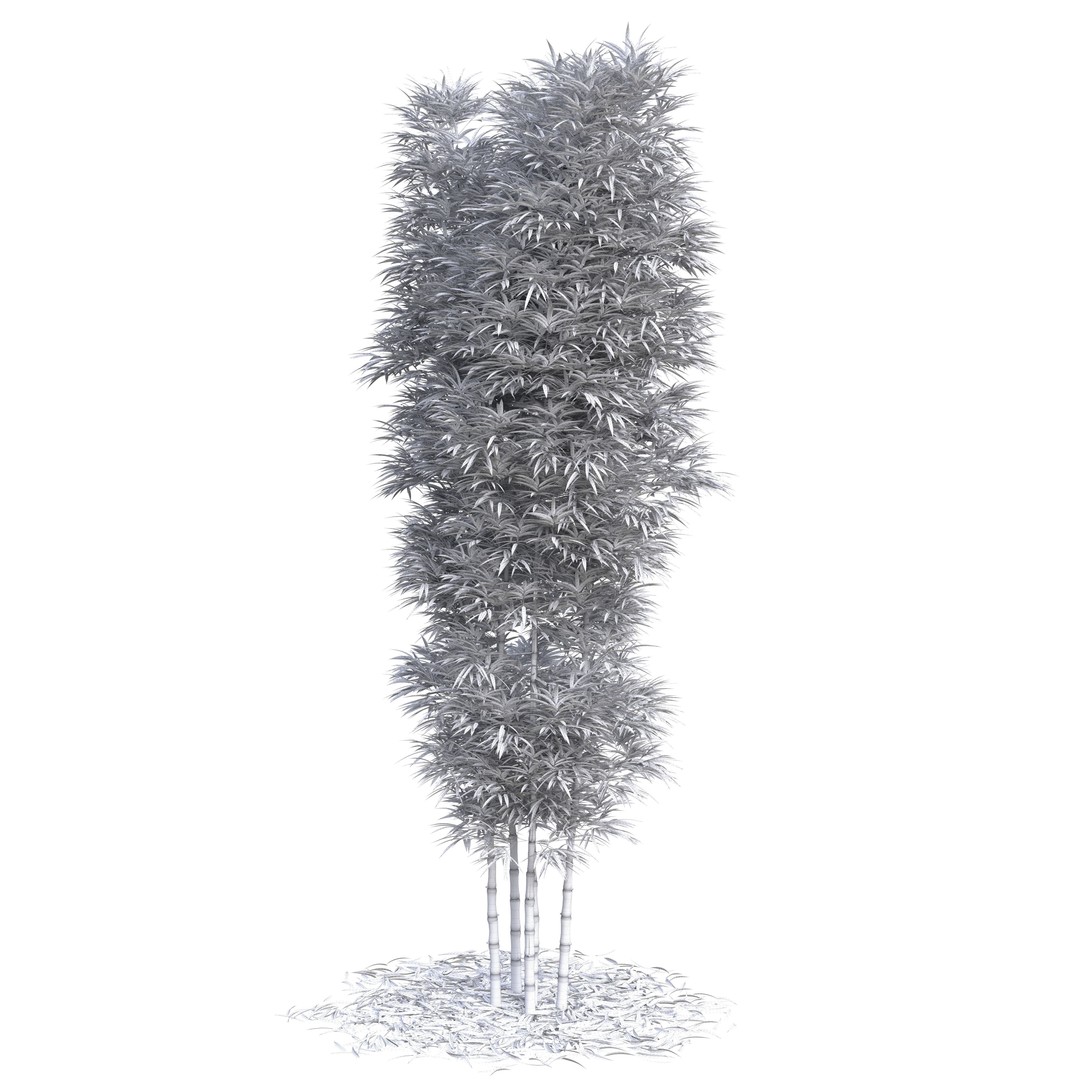 Bamboo Phyllostachys Aurea 3D Model – High Poly Plant Asset, FBX, OBJ - View 35