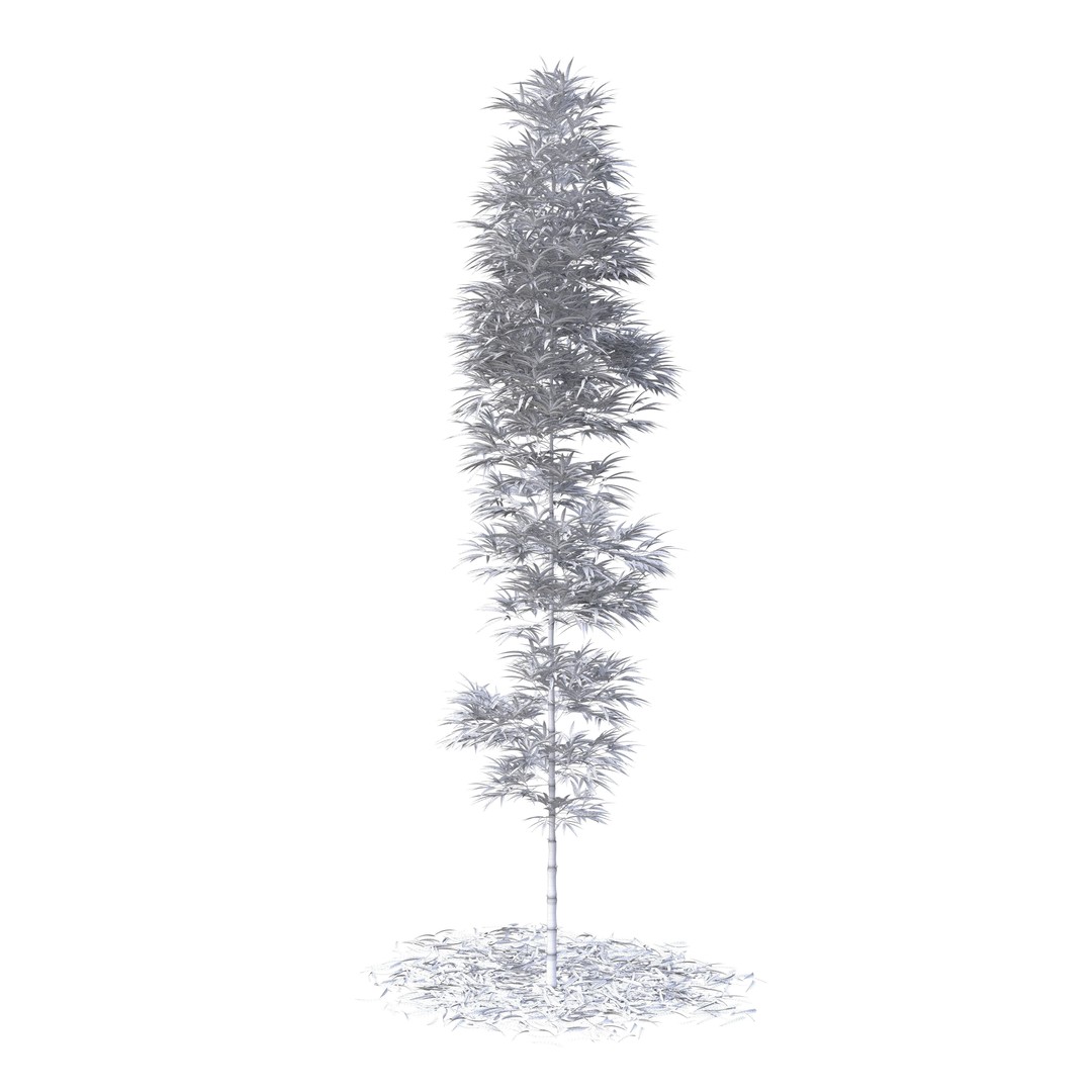 Bamboo Phyllostachys Aurea 3D Model – High Poly Plant Asset, FBX, OBJ - View 38