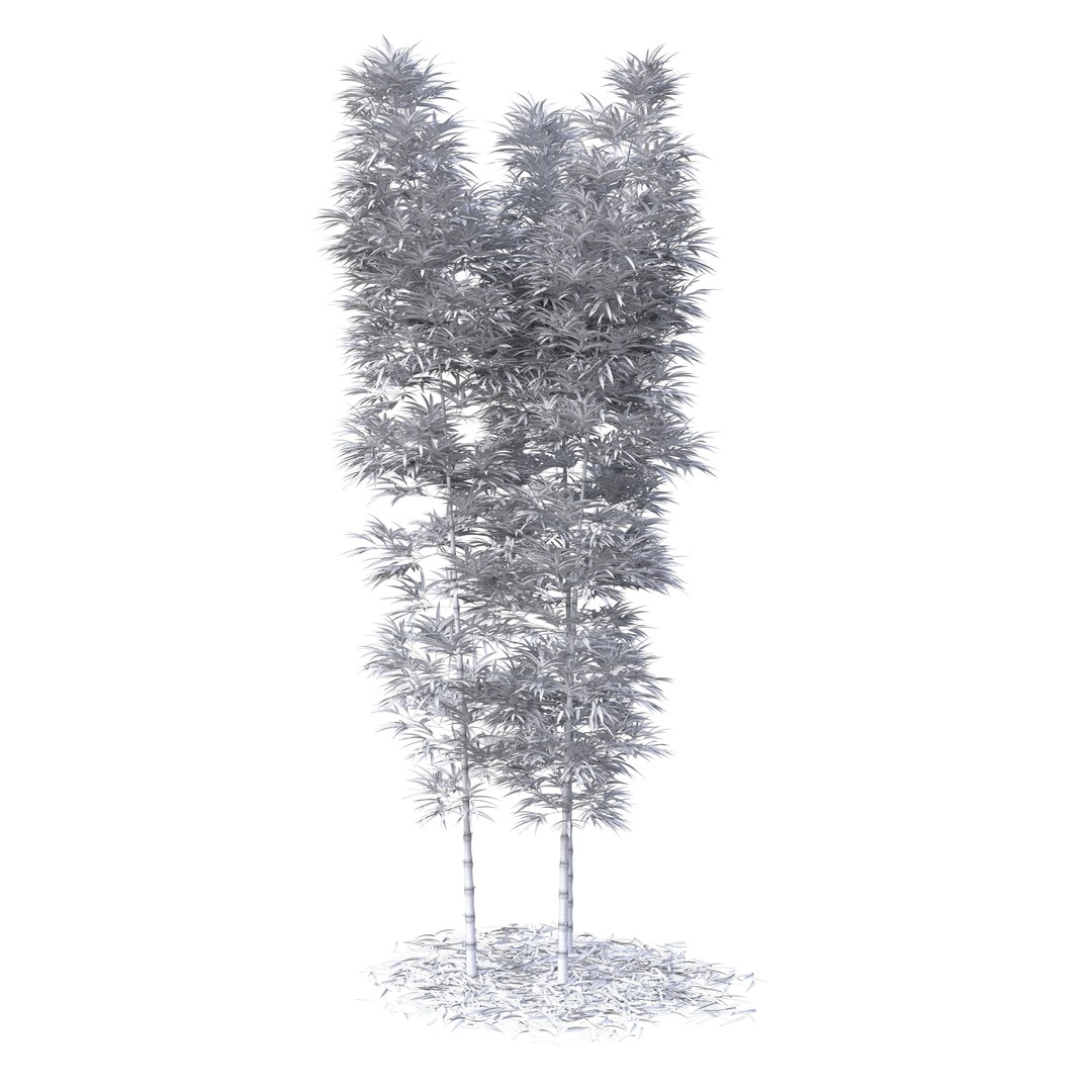 Bamboo Phyllostachys Aurea 3D Model – High Poly Plant Asset, FBX, OBJ - View 40
