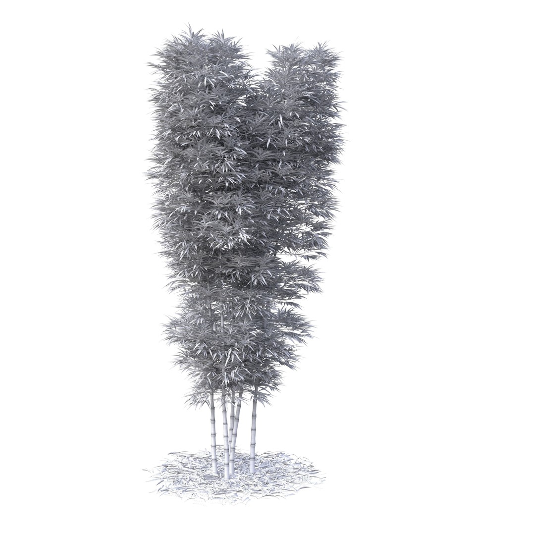 Bamboo Phyllostachys Aurea 3D Model – High Poly Plant Asset, FBX, OBJ - View 41
