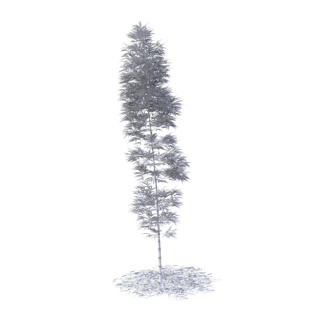 Bamboo Phyllostachys Aurea 3D Model – High Poly Plant Asset, FBX, OBJ - View 42