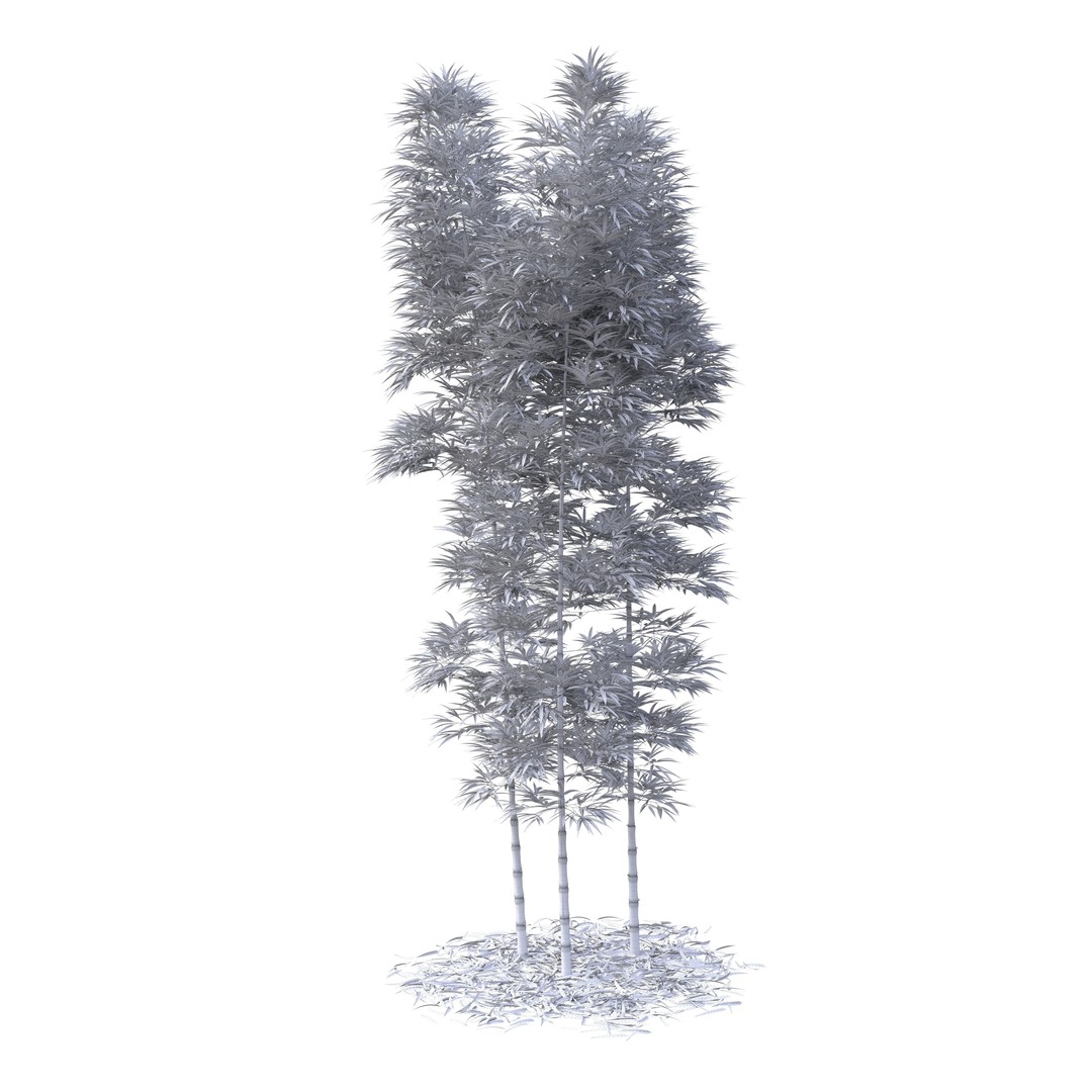 Bamboo Phyllostachys Aurea 3D Model – High Poly Plant Asset, FBX, OBJ - View 43