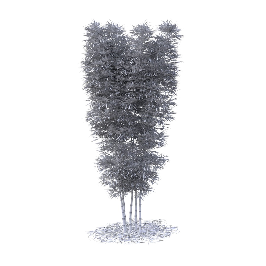 Bamboo Phyllostachys Aurea 3D Model – High Poly Plant Asset, FBX, OBJ - View 44