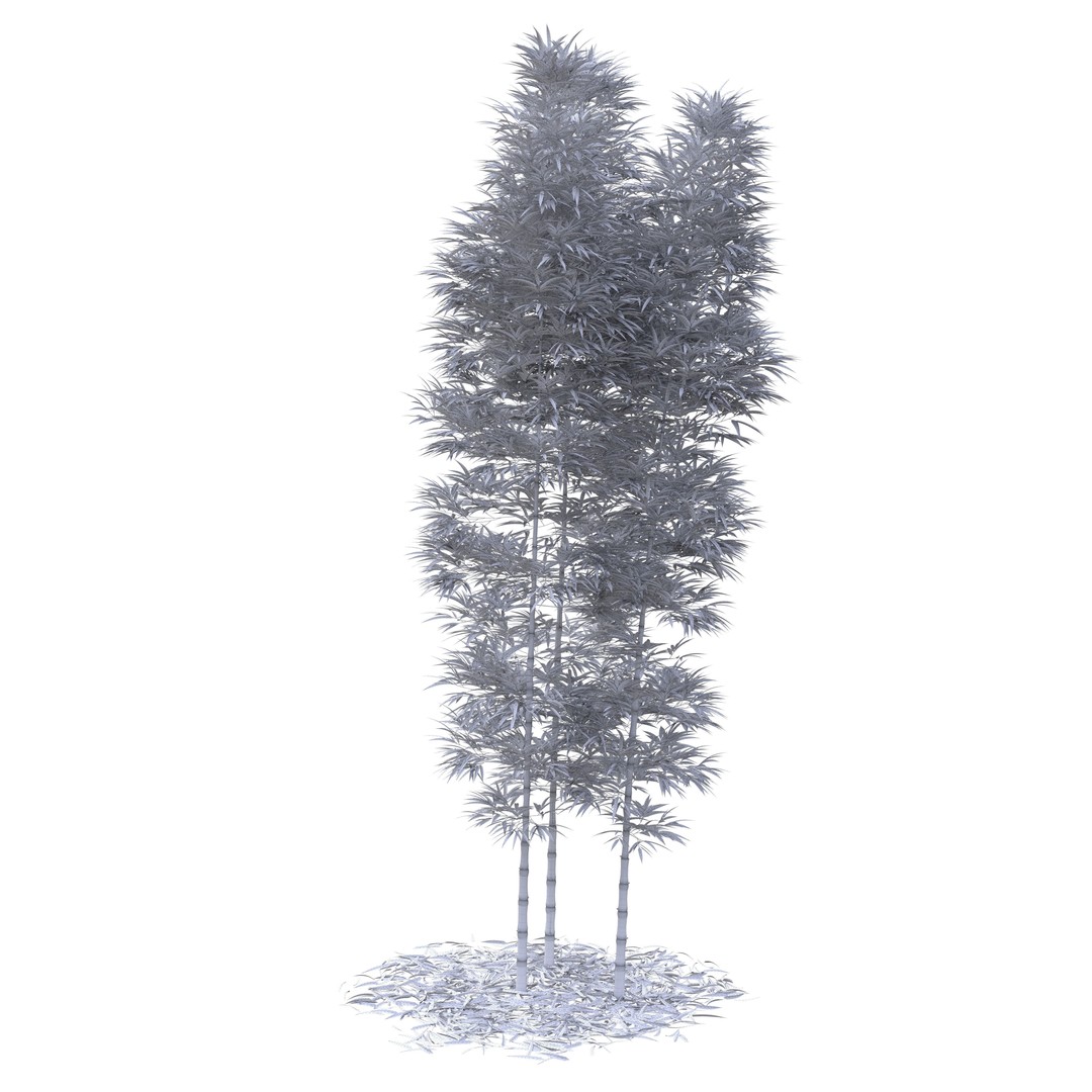 Bamboo Phyllostachys Aurea 3D Model – High Poly Plant Asset, FBX, OBJ - View 47