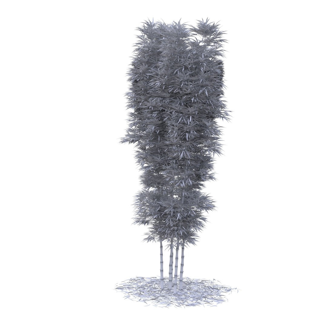 Bamboo Phyllostachys Aurea 3D Model – High Poly Plant Asset, FBX, OBJ - View 48
