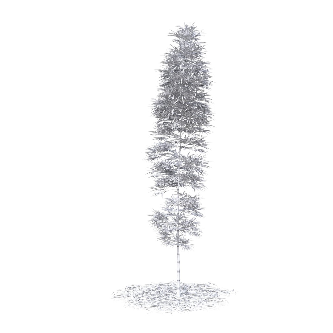 Bamboo Phyllostachys Aurea 3D Model – High Poly Plant Asset, FBX, OBJ - View 49