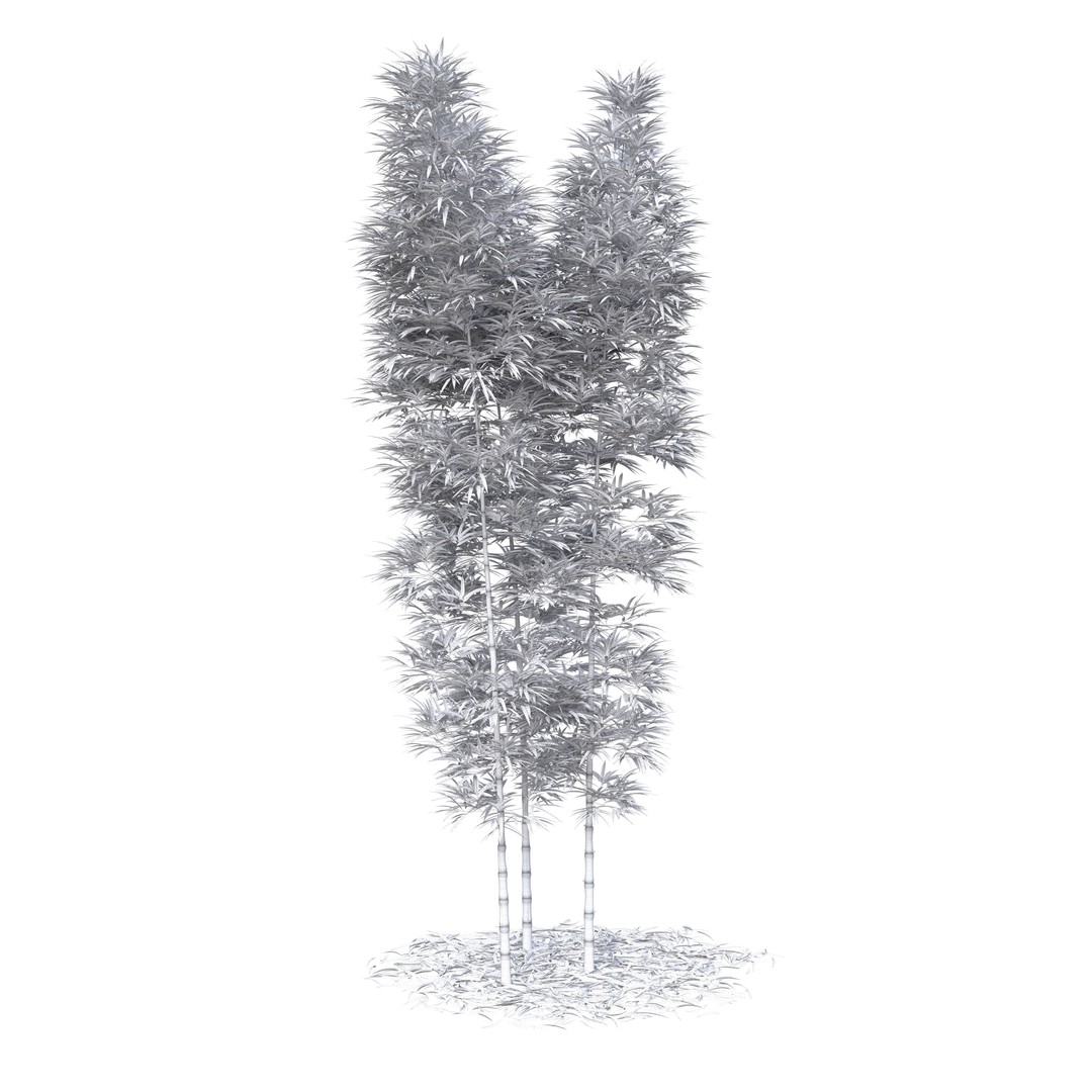 Bamboo Phyllostachys Aurea 3D Model – High Poly Plant Asset, FBX, OBJ - View 50