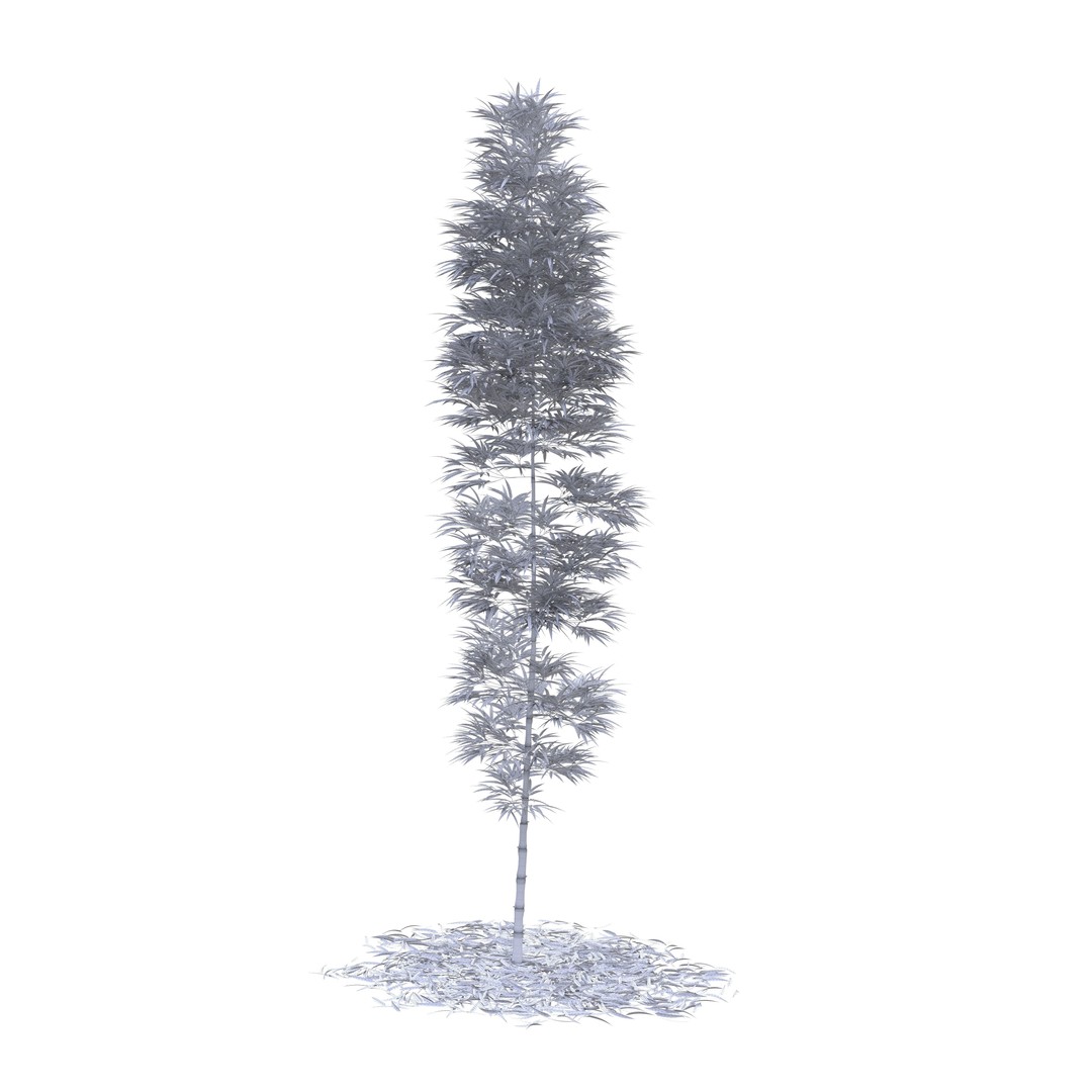 Bamboo Phyllostachys Aurea 3D Model – High Poly Plant Asset, FBX, OBJ - View 51