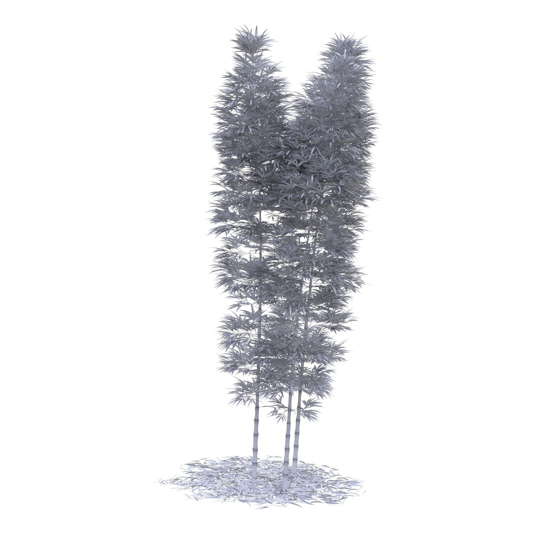 Bamboo Phyllostachys Aurea 3D Model – High Poly Plant Asset, FBX, OBJ - View 52