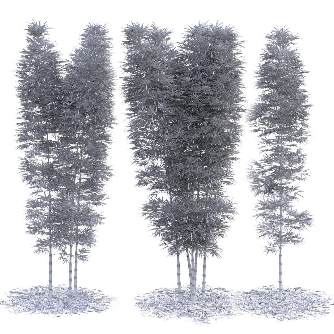 Bamboo Phyllostachys Aurea 3D Model – High Poly Plant Asset, FBX, OBJ - View 6