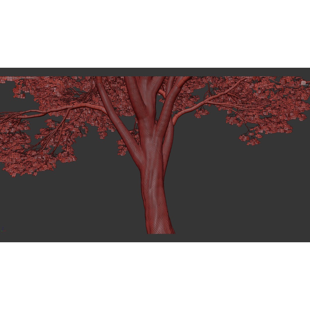 Sycamore Maple 3D Model – Detailed PBR Asset, FBX, OBJ