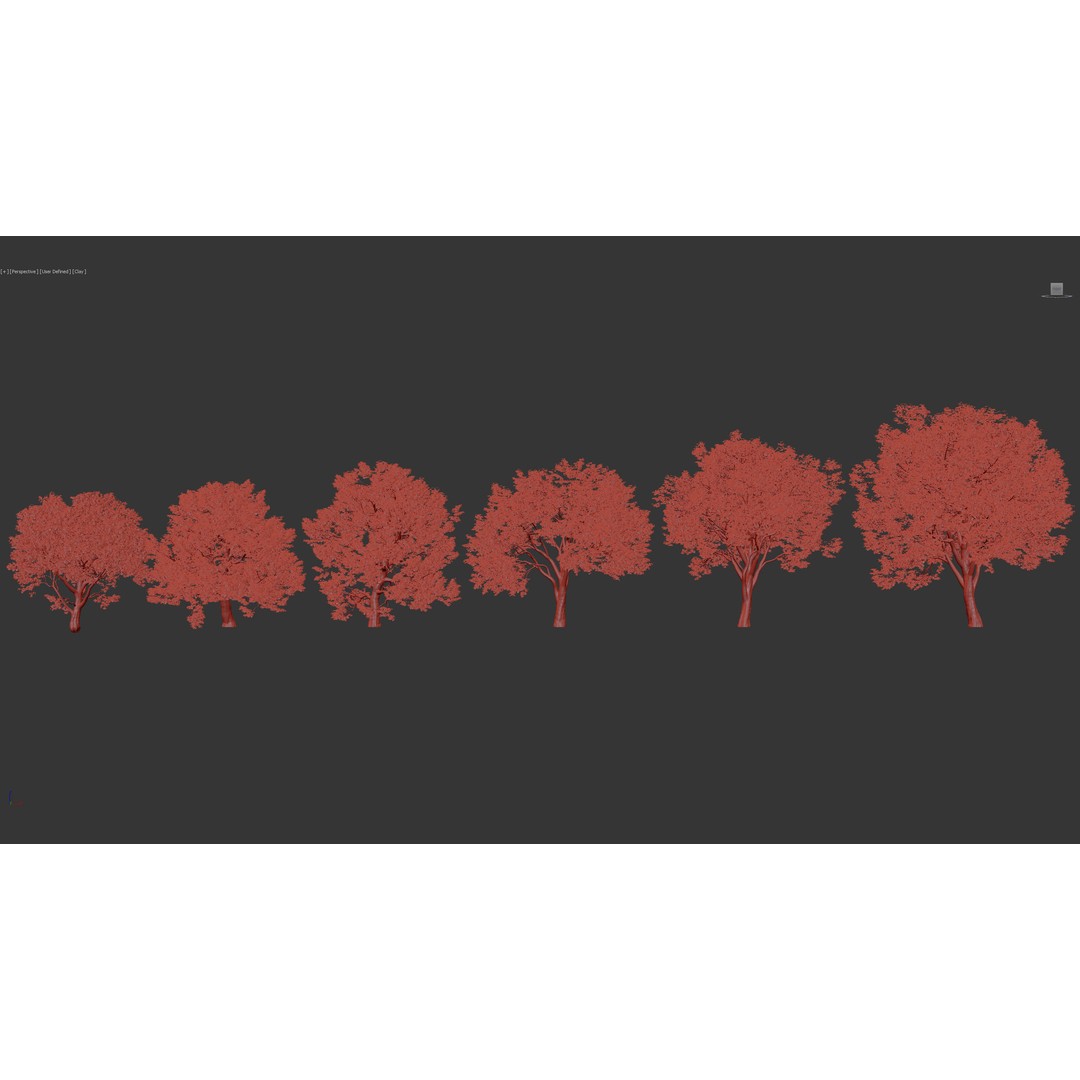 Sycamore Maple 3D Model – Detailed PBR Asset, FBX, OBJ - View 11