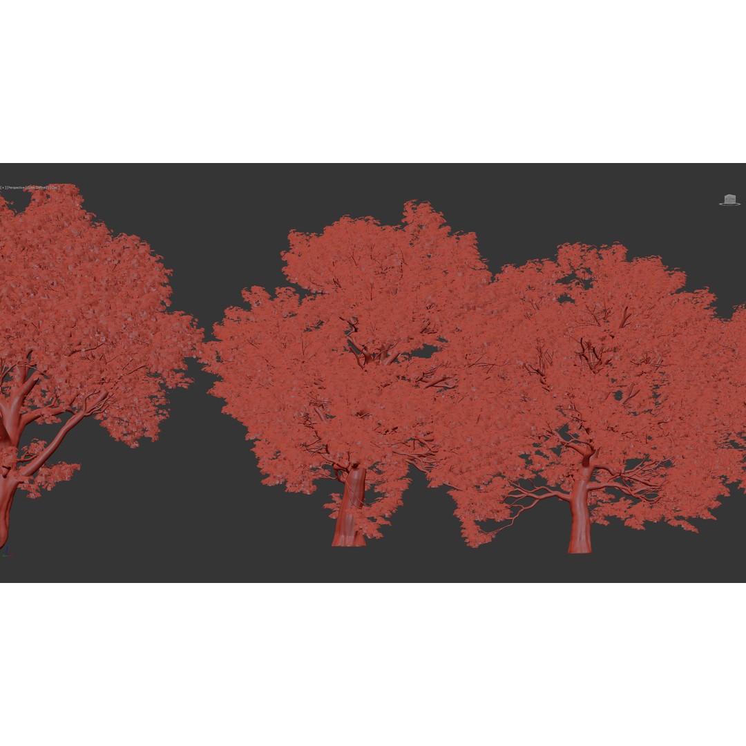 Sycamore Maple 3D Model – Detailed PBR Asset, FBX, OBJ - View 12