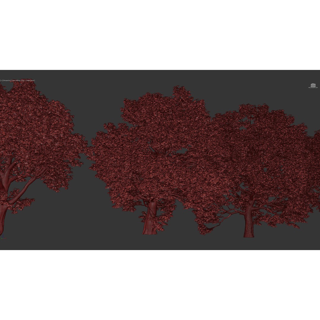 Sycamore Maple 3D Model – Detailed PBR Asset, FBX, OBJ - View 13