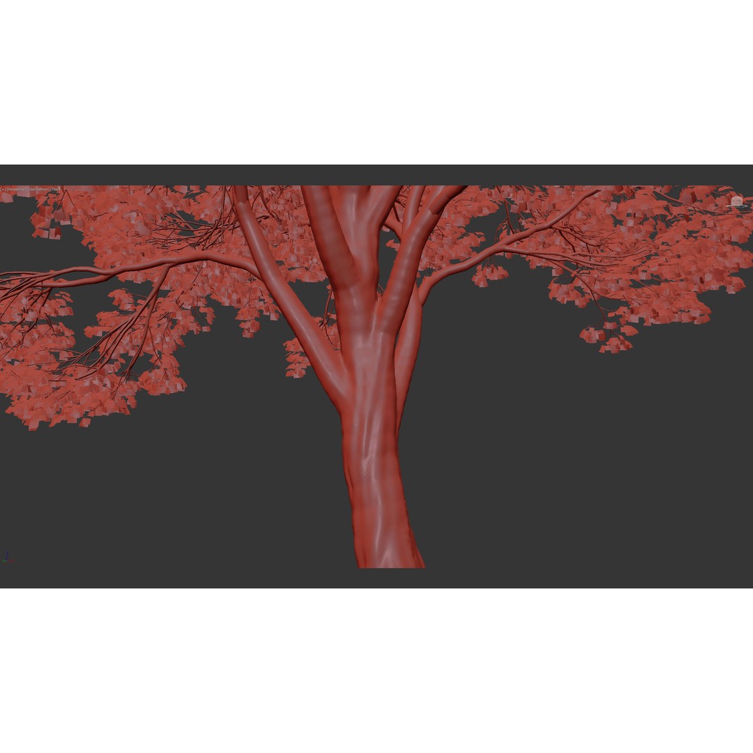 Sycamore Maple 3D Model – Detailed PBR Asset, FBX, OBJ - View 14