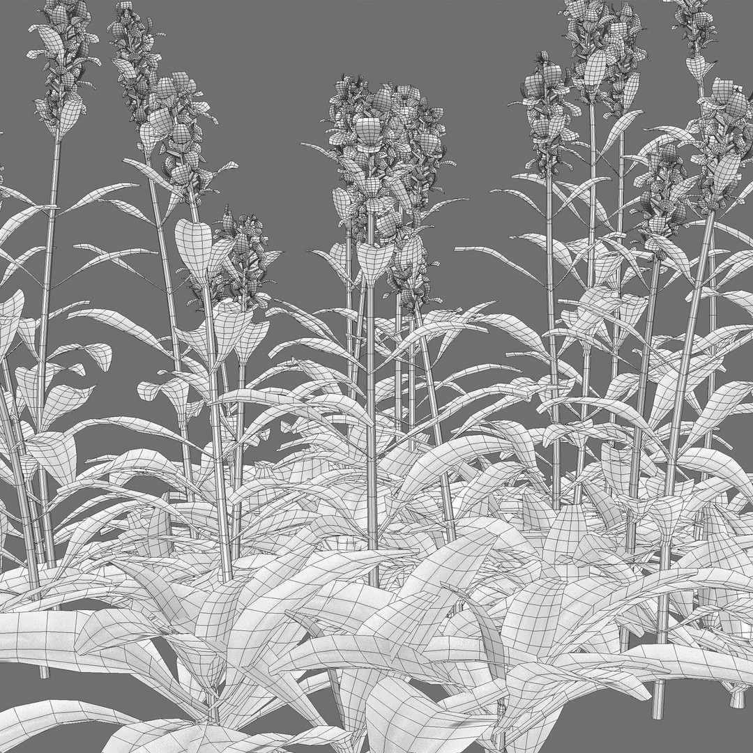 Stachys Byzantina 3D Model – PBR Plant Asset, FBX Format - View 5