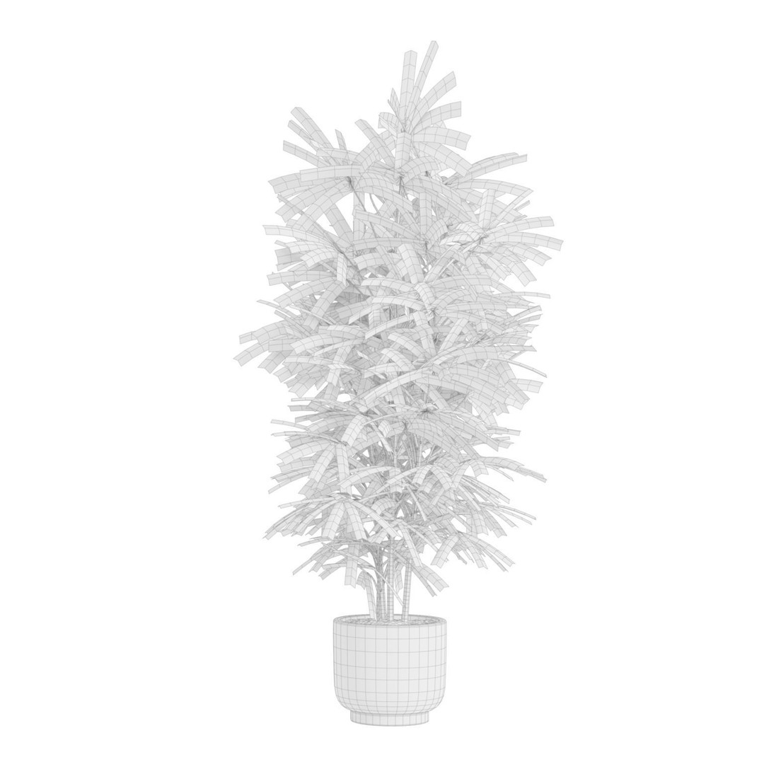 Indoor Plants 3D Model – Exotic Potted Plants, FBX, Blender