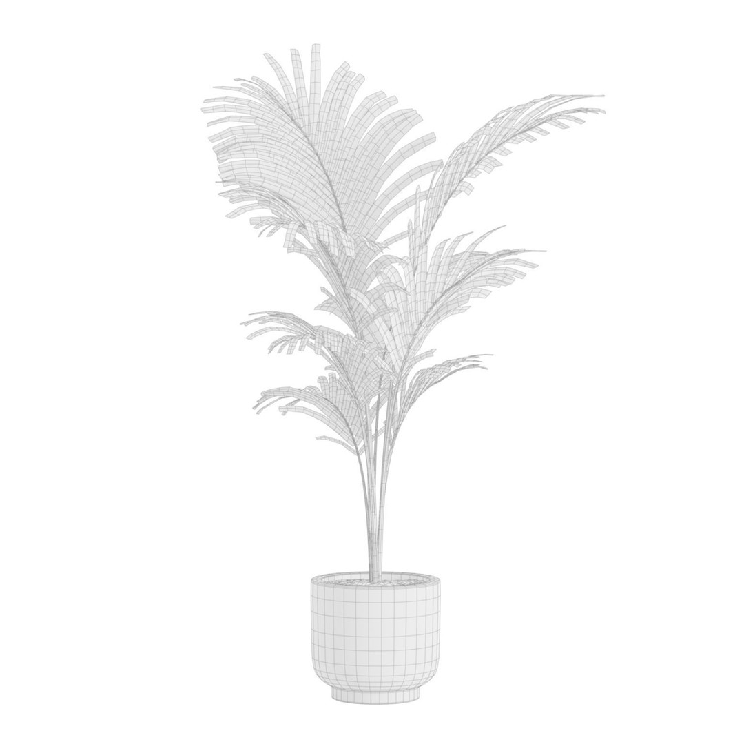 Indoor Plants 3D Model – Exotic Potted Plants, FBX, Blender - View 10