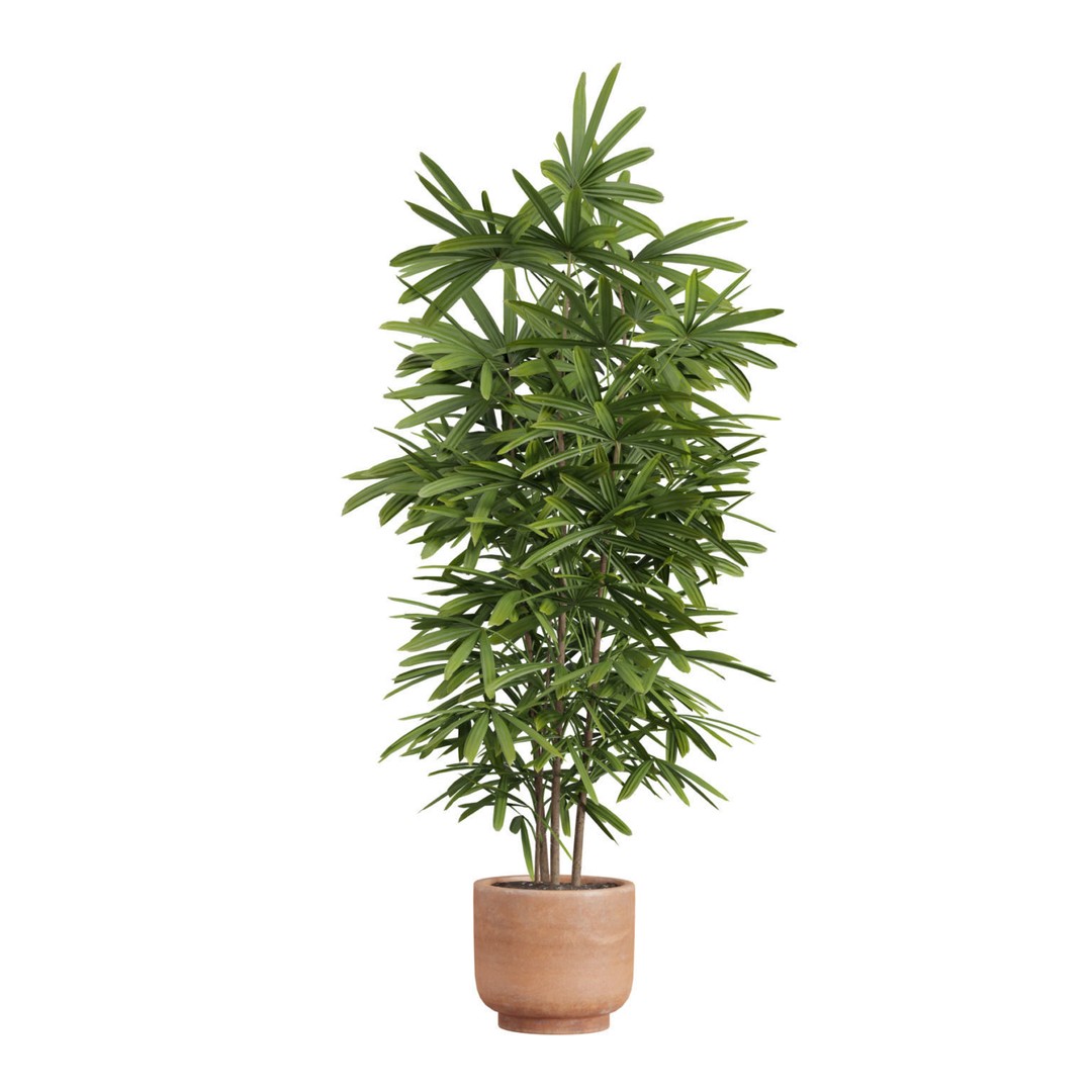 Indoor Plants 3D Model – Exotic Potted Plants, FBX, Blender - View 11