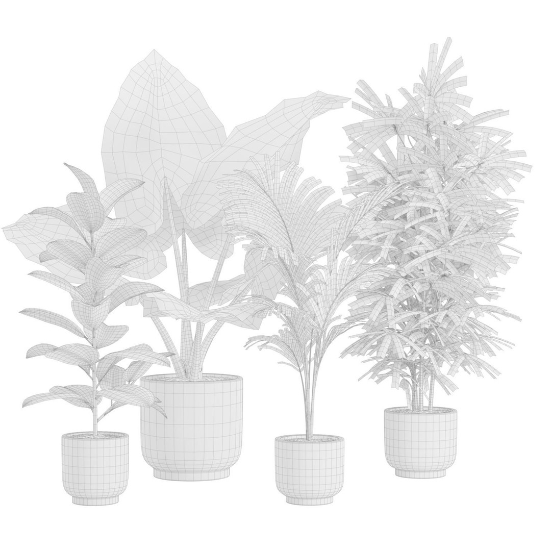 Indoor Plants 3D Model – Exotic Potted Plants, FBX, Blender - View 4