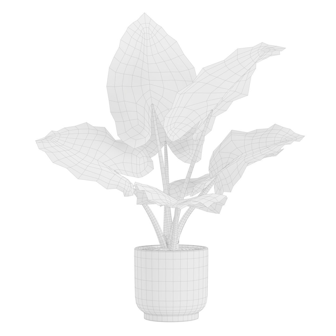 Indoor Plants 3D Model – Exotic Potted Plants, FBX, Blender - View 6