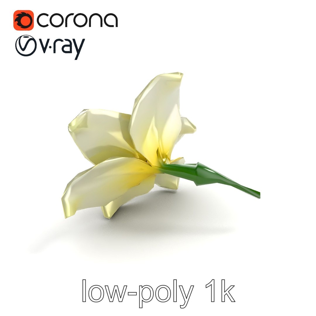 Freesia White Flower 3D Model – Realistic Low Poly Asset, FBX - View 10