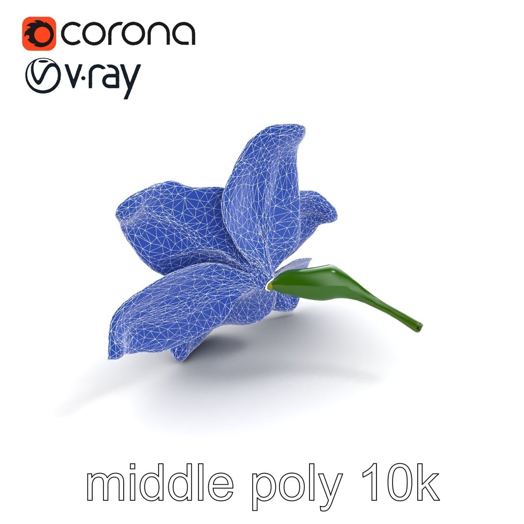 Freesia White Flower 3D Model – Realistic Low Poly Asset, FBX - View 12