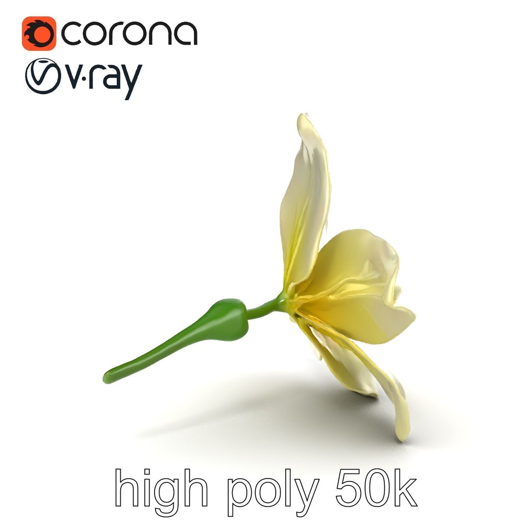 Freesia White Flower 3D Model – Realistic Low Poly Asset, FBX - View 16