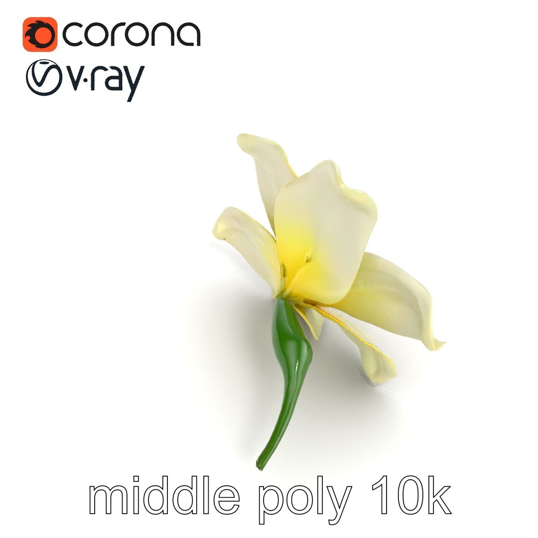 Freesia White Flower 3D Model – Realistic Low Poly Asset, FBX - View 17