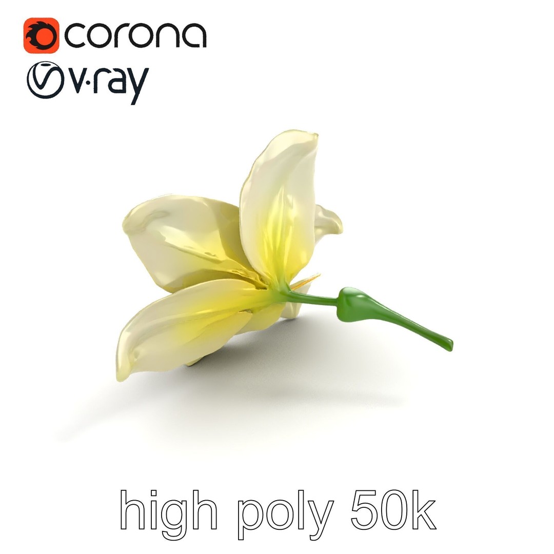 Freesia White Flower 3D Model – Realistic Low Poly Asset, FBX - View 18