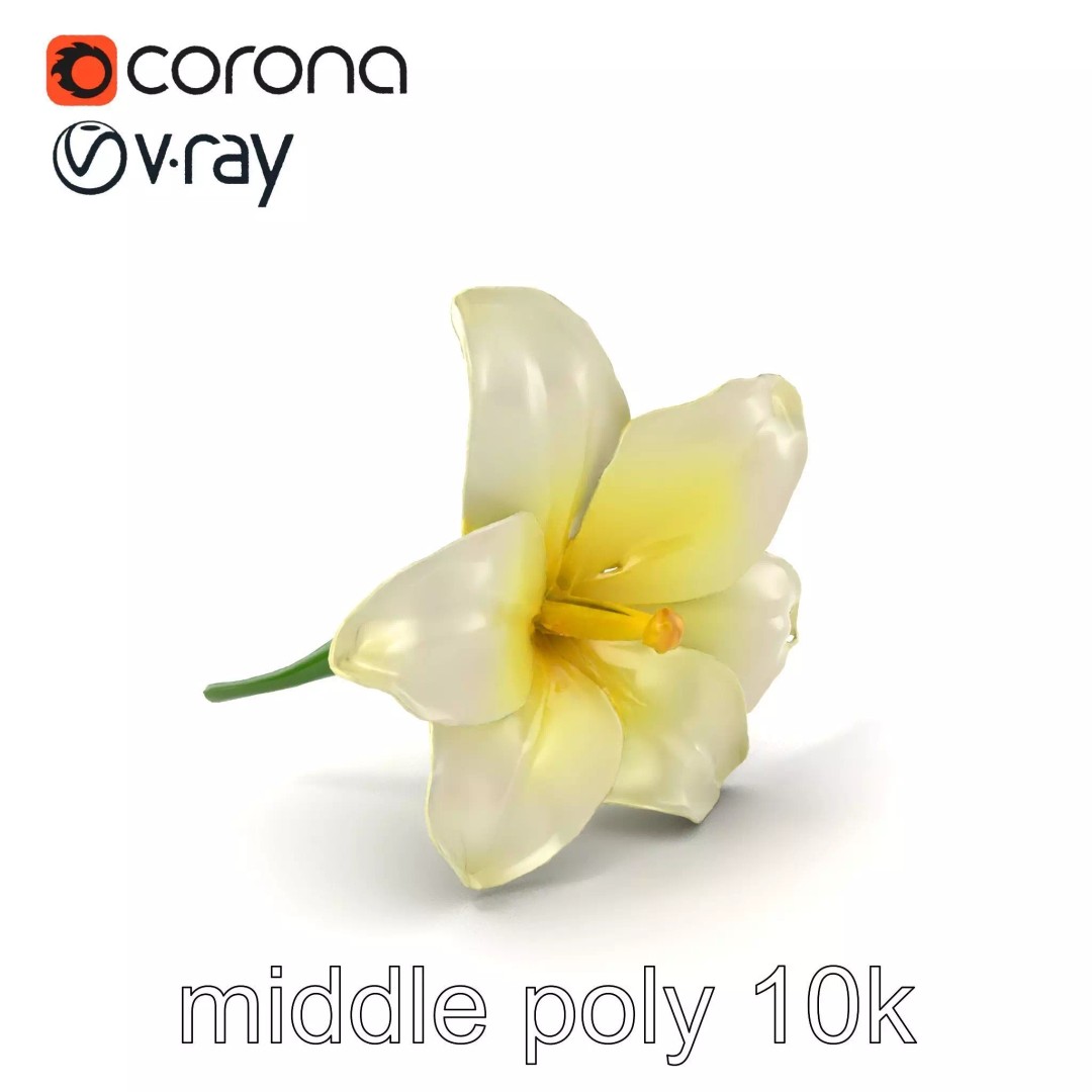 Freesia White Flower 3D Model – Realistic Low Poly Asset, FBX - View 2