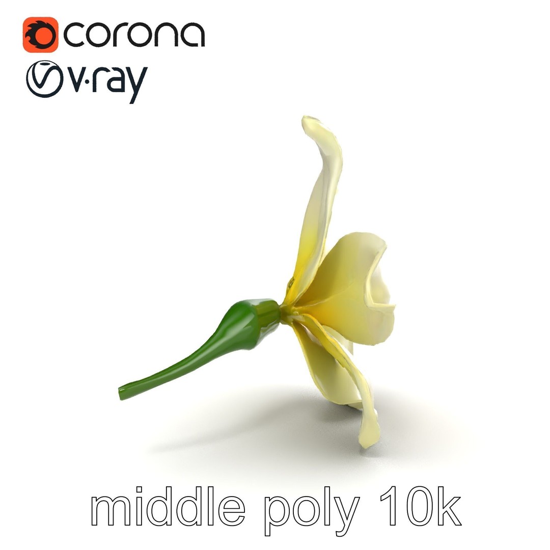 Freesia White Flower 3D Model – Realistic Low Poly Asset, FBX - View 21
