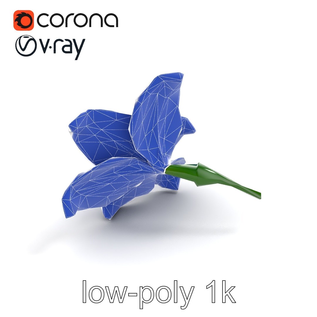 Freesia White Flower 3D Model – Realistic Low Poly Asset, FBX - View 22