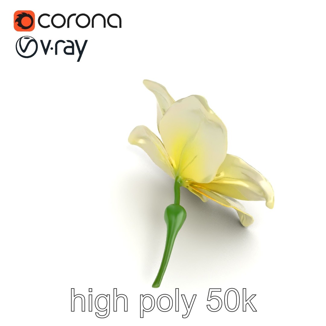 Freesia White Flower 3D Model – Realistic Low Poly Asset, FBX - View 23