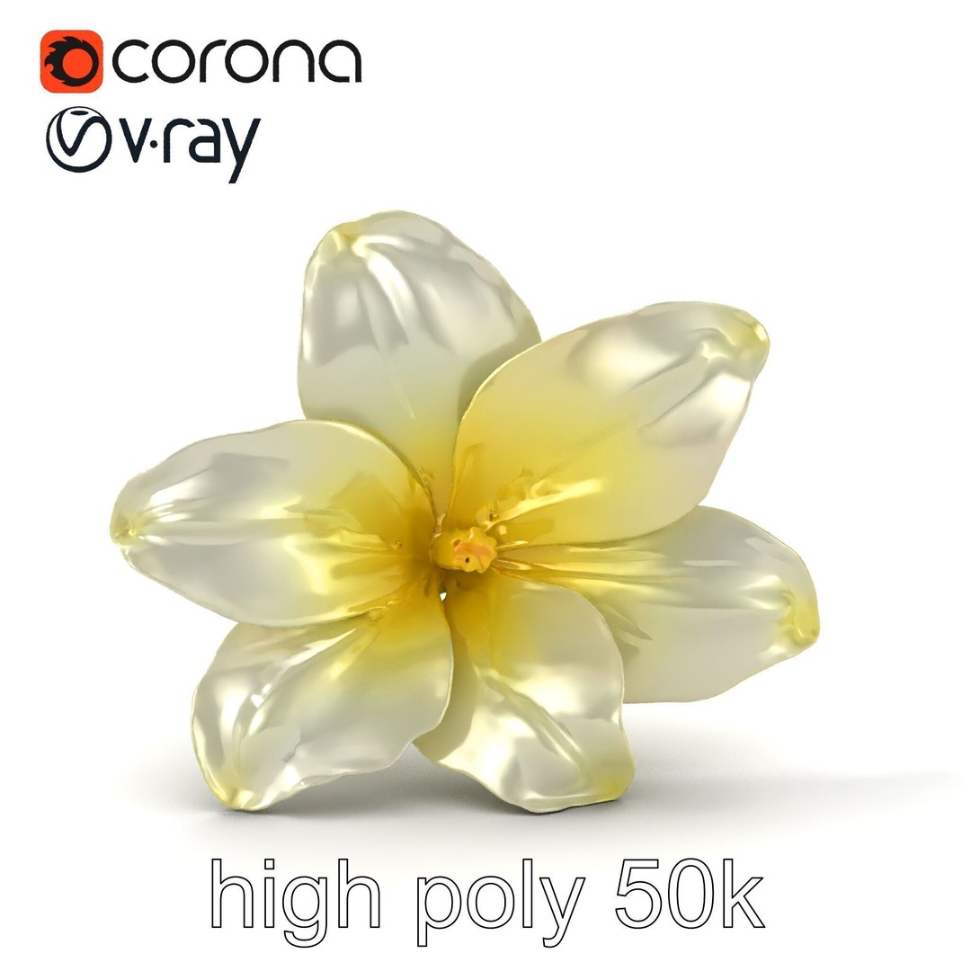 Freesia White Flower 3D Model – Realistic Low Poly Asset, FBX - View 24