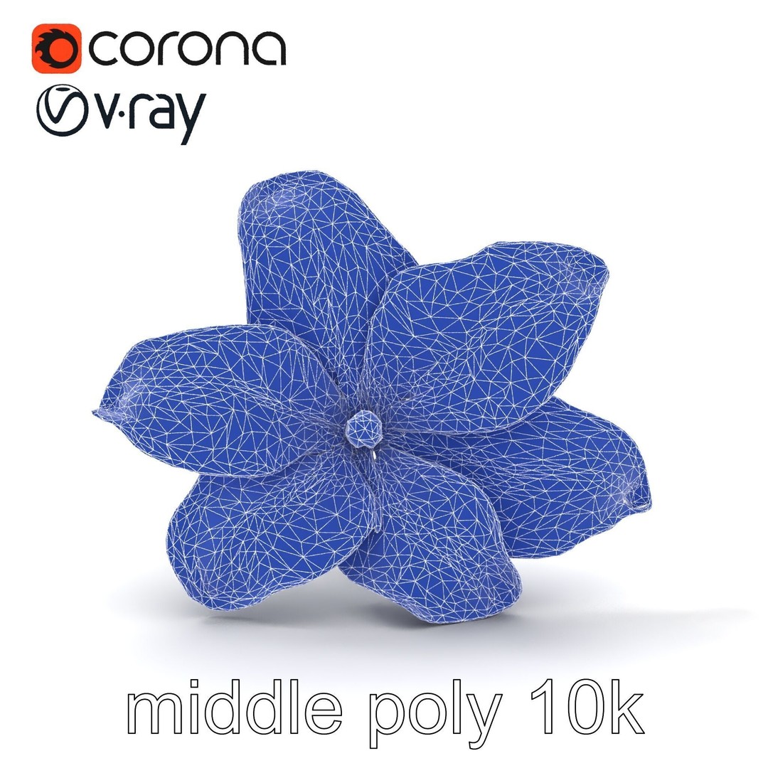 Freesia White Flower 3D Model – Realistic Low Poly Asset, FBX - View 25