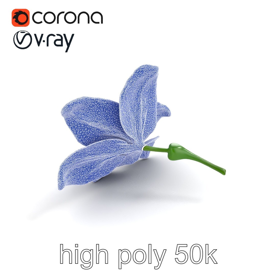 Freesia White Flower 3D Model – Realistic Low Poly Asset, FBX - View 26