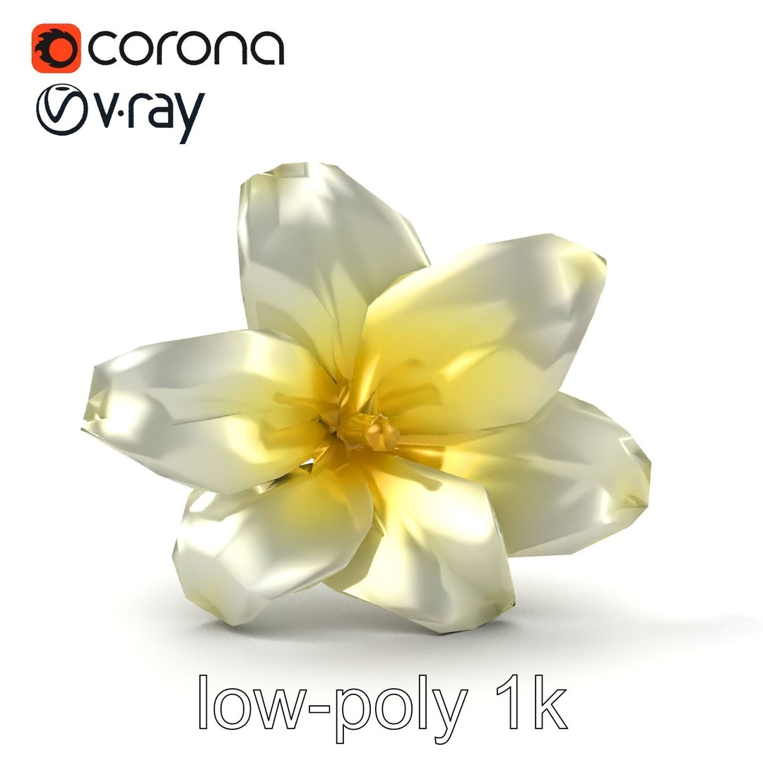Freesia White Flower 3D Model – Realistic Low Poly Asset, FBX - View 27