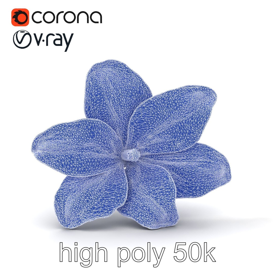 Freesia White Flower 3D Model – Realistic Low Poly Asset, FBX - View 28