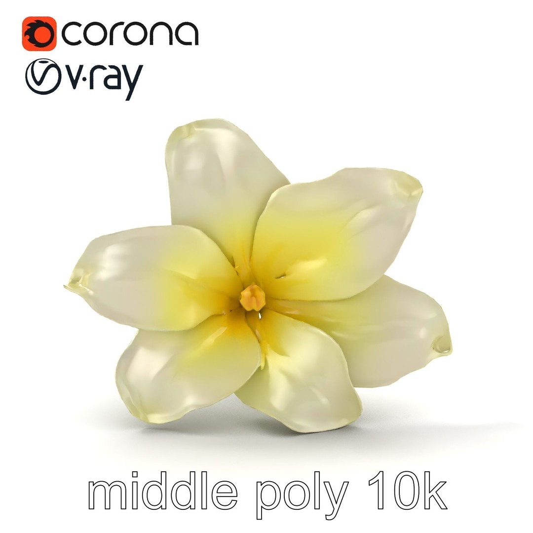 Freesia White Flower 3D Model – Realistic Low Poly Asset, FBX - View 32