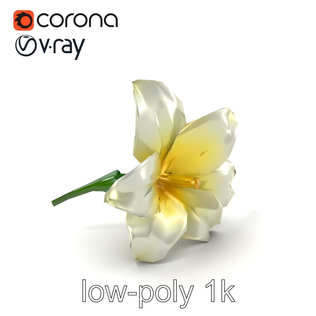 Freesia White Flower 3D Model – Realistic Low Poly Asset, FBX - View 6