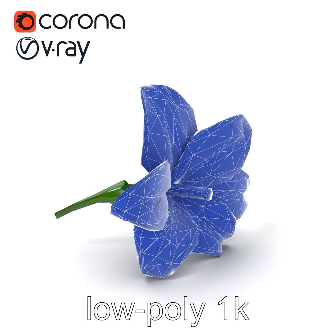 Freesia White Flower 3D Model – Realistic Low Poly Asset, FBX - View 8