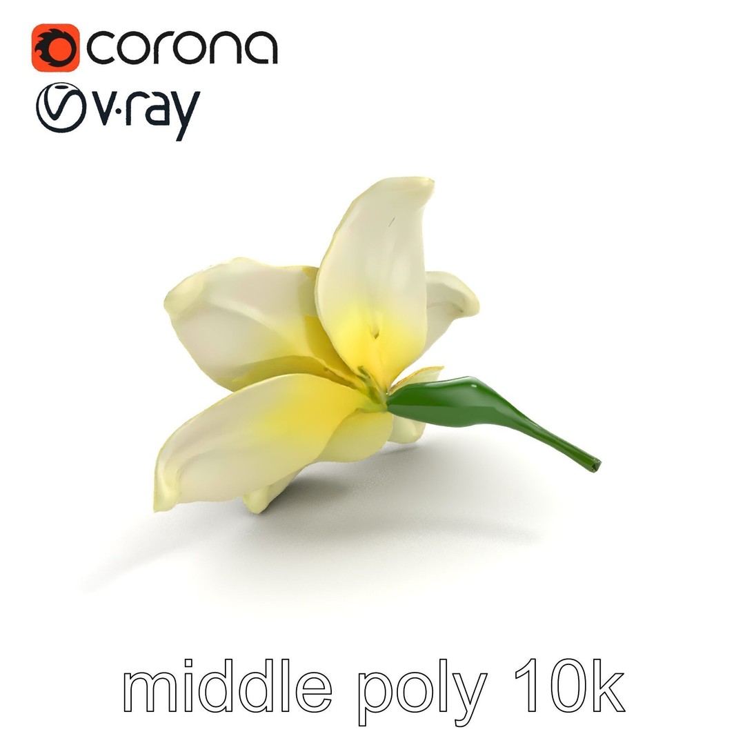 Freesia White Flower 3D Model – Realistic Low Poly Asset, FBX - View 9