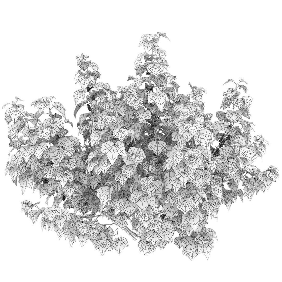 Currant Bush 3D Model – Realistic Plant Asset, FBX, PBR Textures - View 6