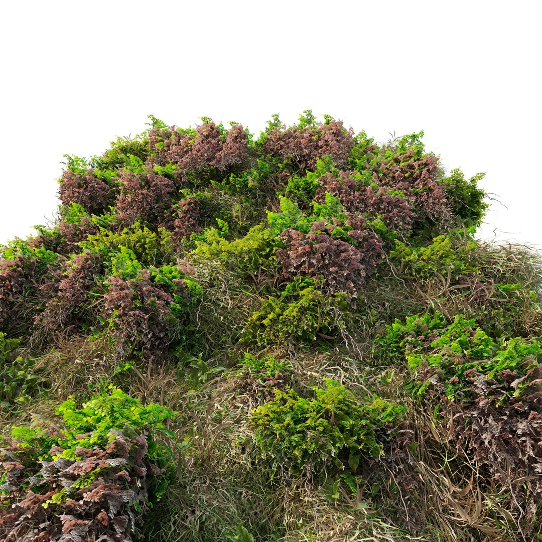 Green Wall 3D Model – Vertical Garden Asset with Textures - View 3