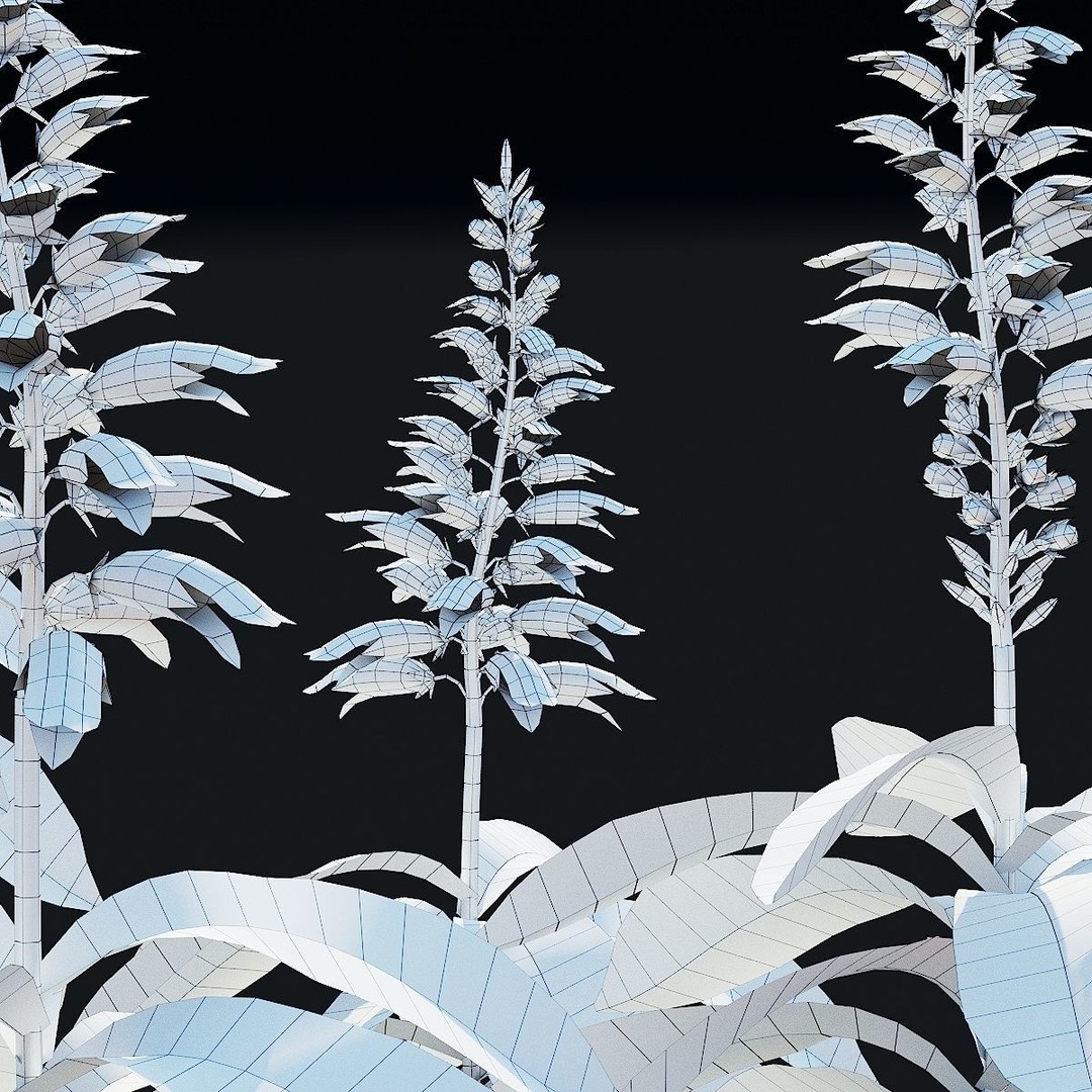 Digitalis Canariensis Flower 3D Model – High Poly PBR Asset, FBX, OBJ - View 4