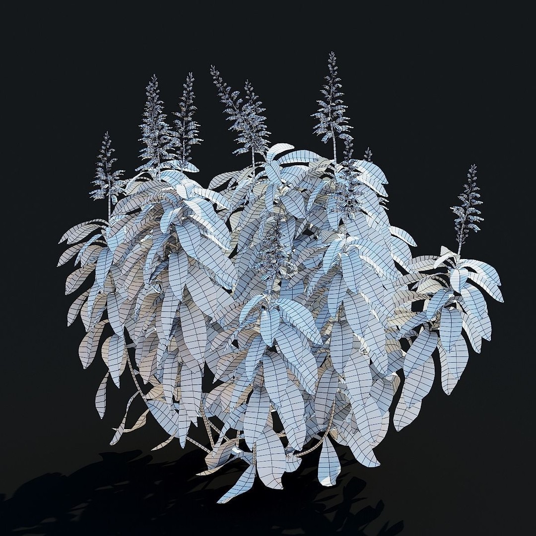 Digitalis Canariensis Flower 3D Model – High Poly PBR Asset, FBX, OBJ - View 8