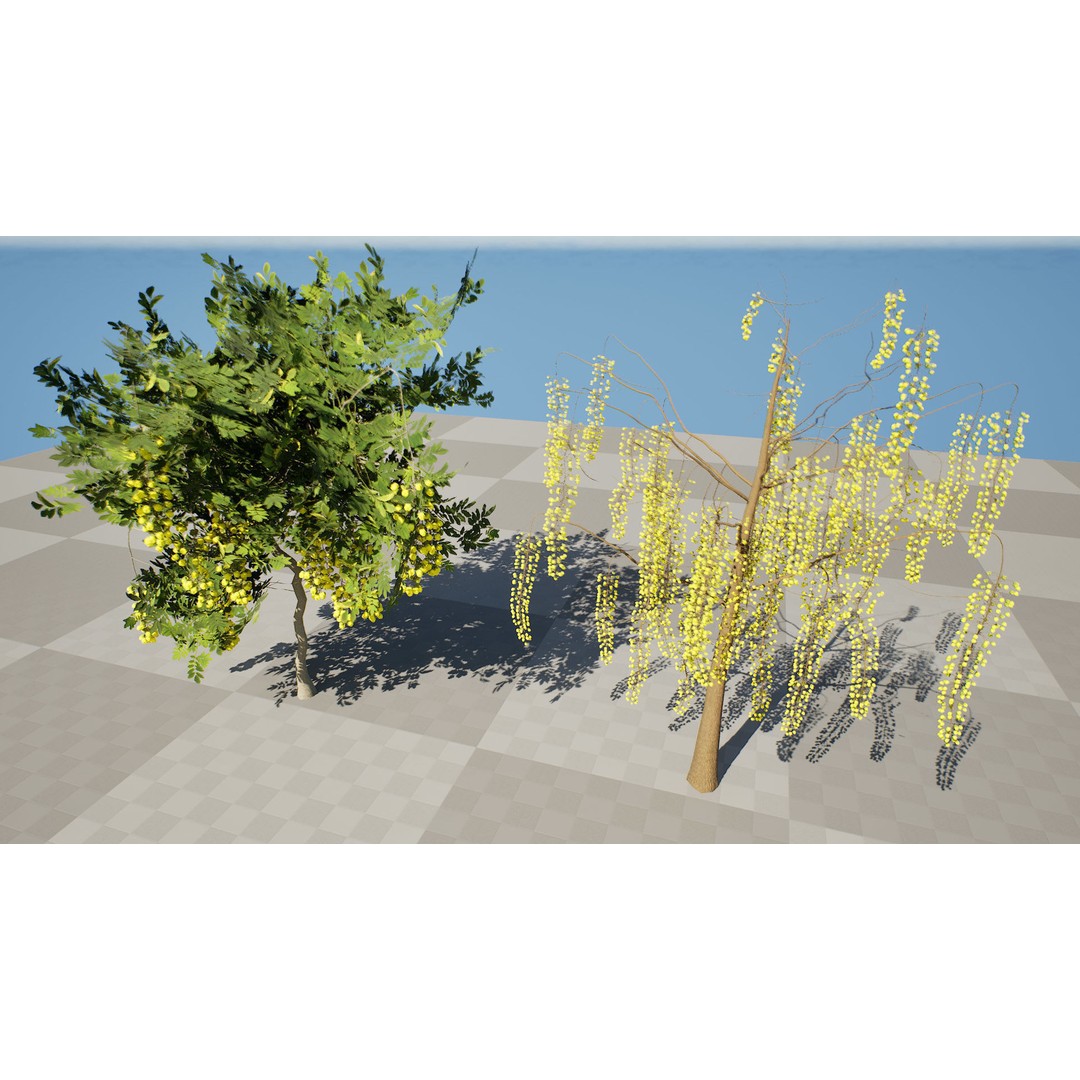 Golden Shower Tree 3D Model – Low Poly Animated Game Asset, FBX, Blender - View 6