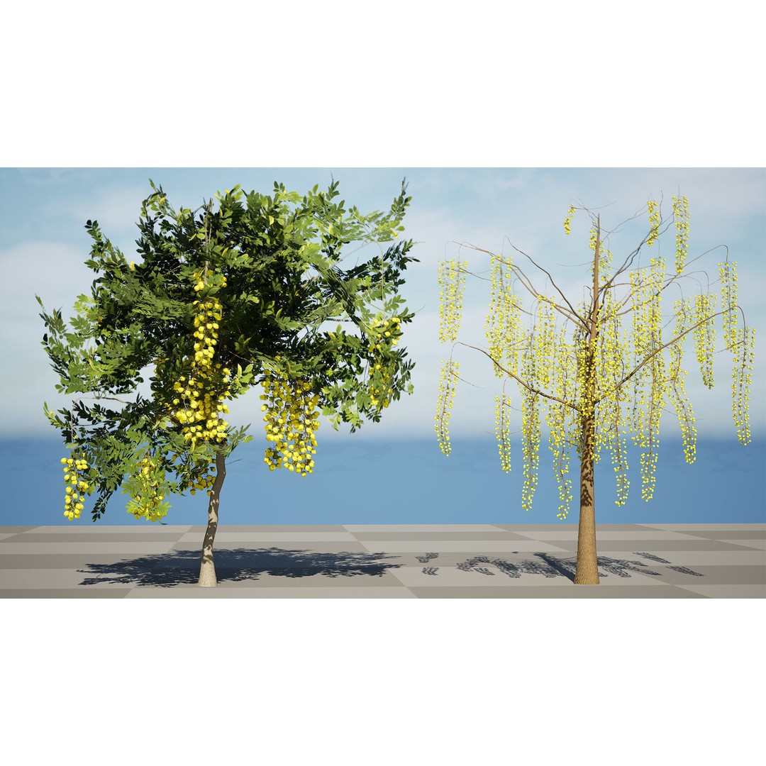 Golden Shower Tree 3D Model – Low Poly Animated Game Asset, FBX, Blender - View 7